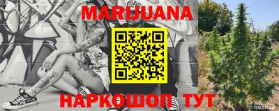 индика Новокубанск