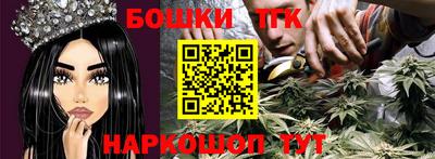 индика Новокубанск