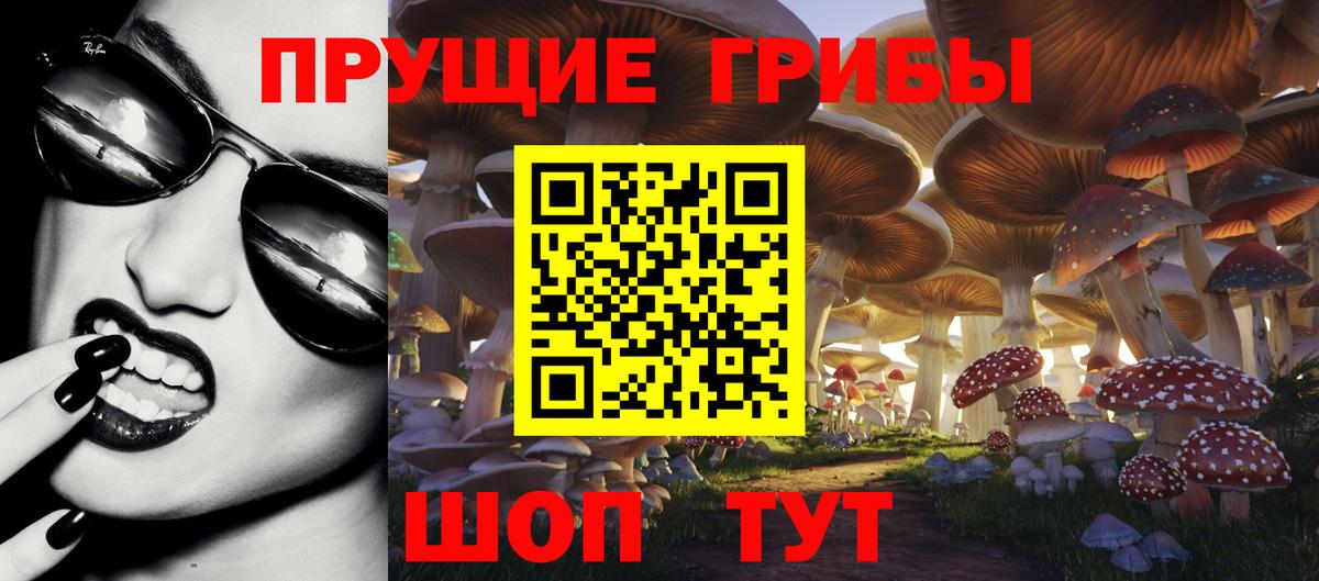 Борисоглебск  наркошоп  Вход с VPN  Галлюциногенные грибы MAGIC MUSHROOMS 