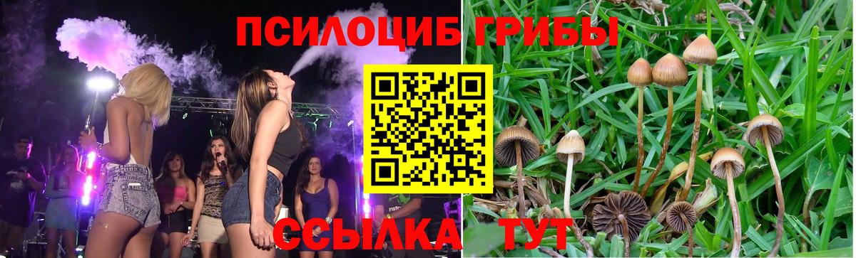 Галлюциногенные грибы GOLDEN TEACHER Борисоглебск